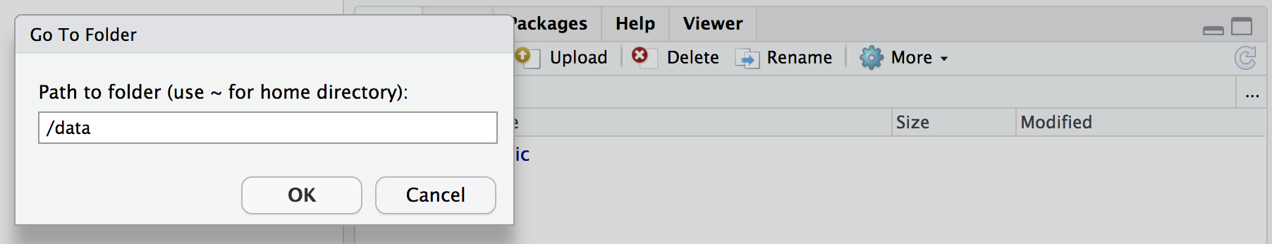 ../_images/rstudio_mount2.png